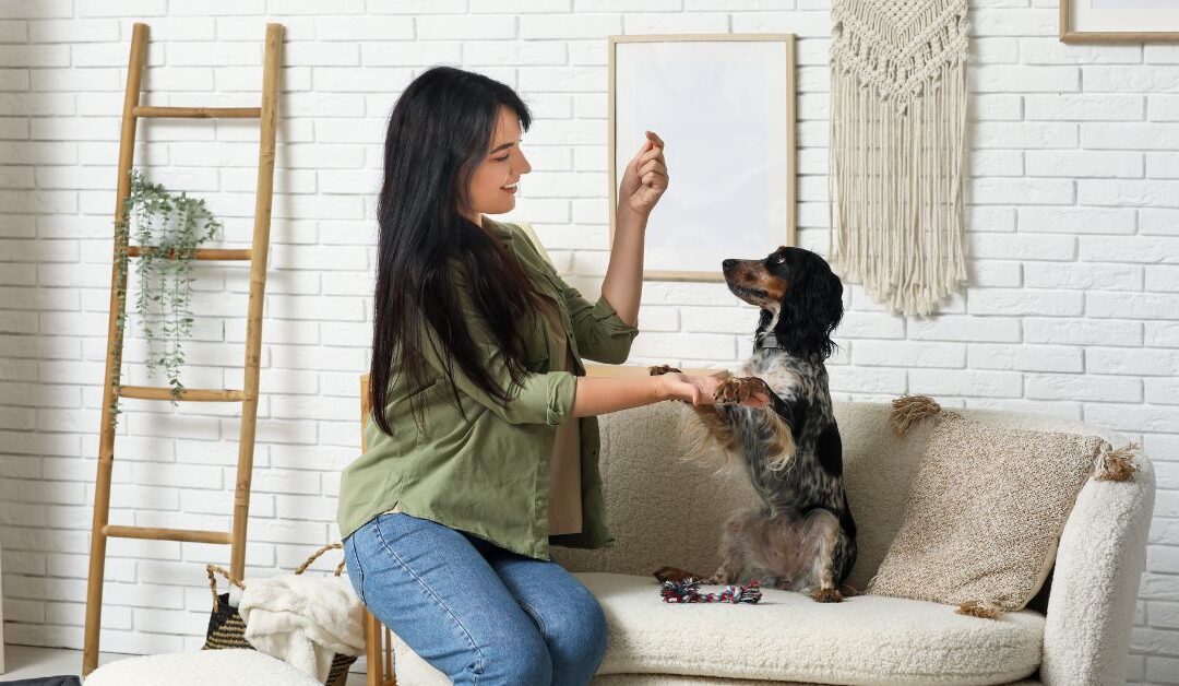 How to Transform Your Pet’s Routine Using Behavior-Based Training Techniques