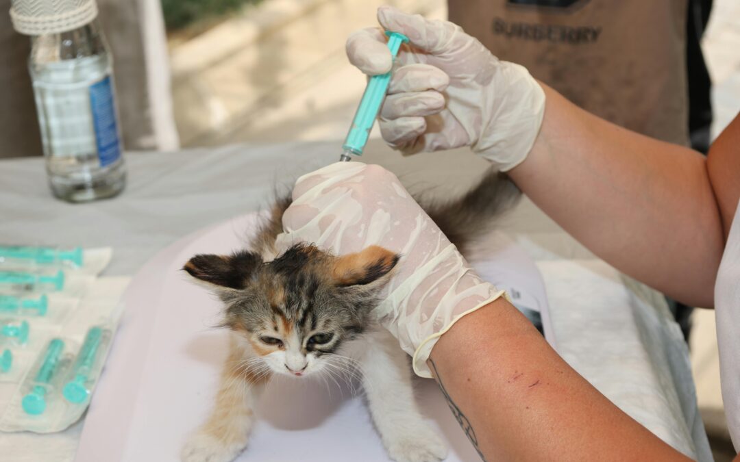 🐾 Why Vaccinations Are Essential for Your Puppy’s and Kitten’s Health
